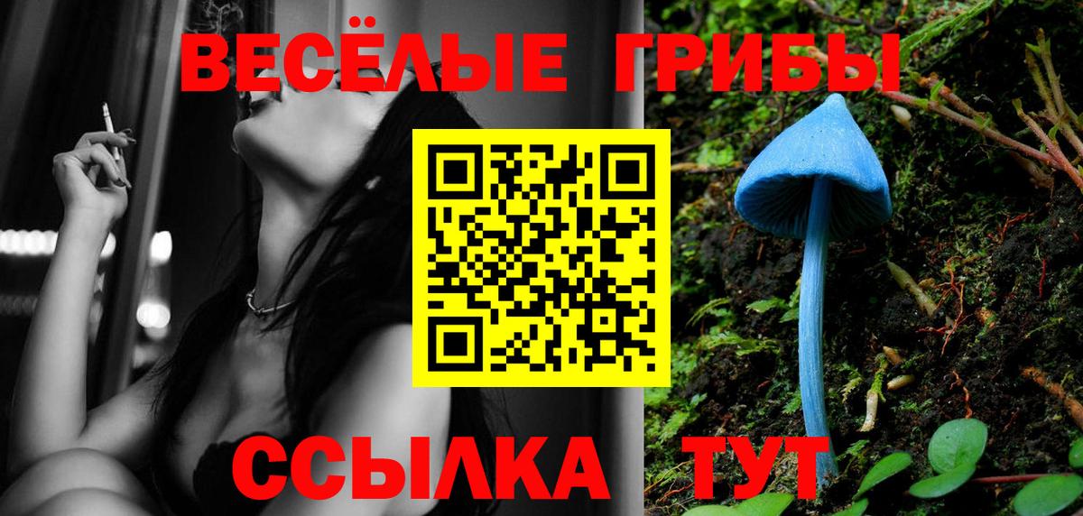 Псилоцибиновые грибы GOLDEN TEACHER Печора